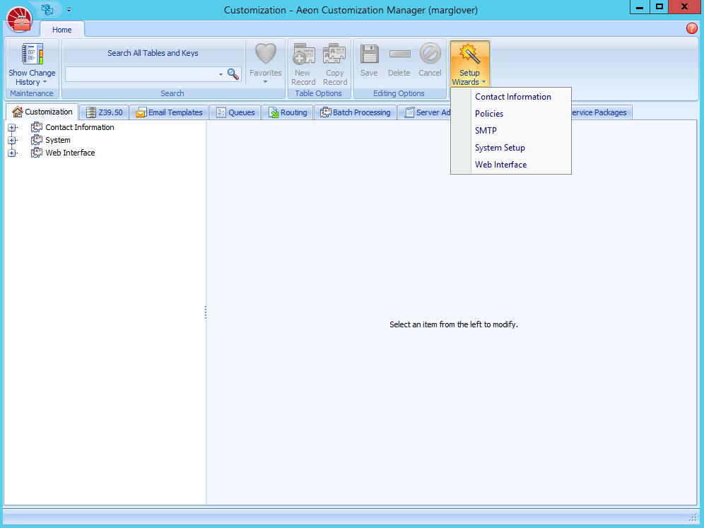 Customization Manager Setup Wizard